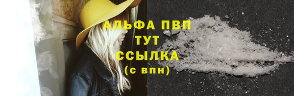 твердый Арсеньев