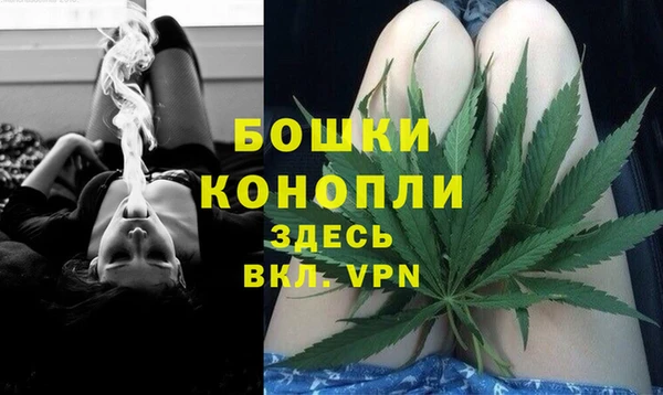 твердый Арсеньев