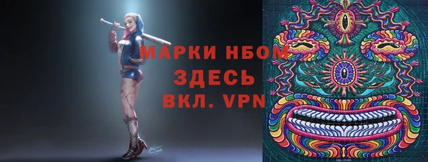 твердый Арсеньев